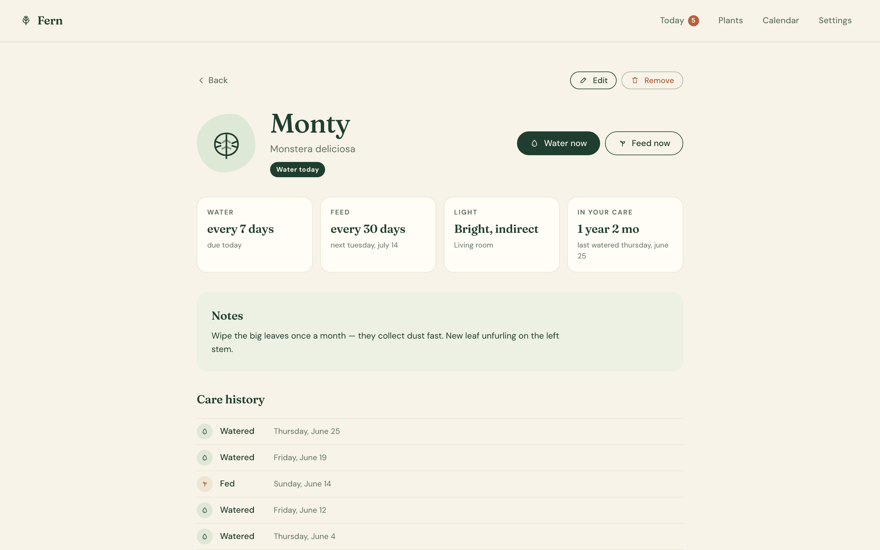 Fern — Plant page · Monty